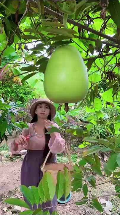 Enjoy beautiful nature with rural life # 37