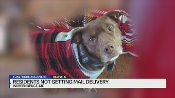USPS halts mail delivery in Independence over dog that moved away