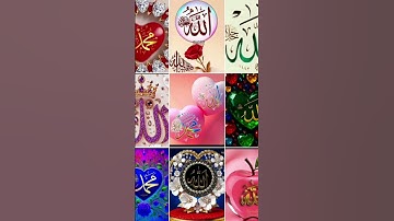 #قرآن #لا_اله_الا_الله #تلاوة_هادئة