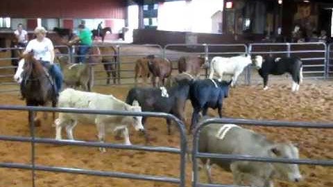 Valley View Ranch - Hannah Merada - sorting 2