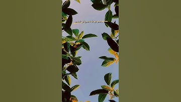 ﴿ وَاصْبِرْ فَإِنَّ اللَّهَ لَا يُضِيعُ أَجْرَ الْمُحْسِنِينَ ﴾ [ سورة هود: 115]