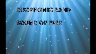 Duophonic Band sound of free tribute to Dennis wilson