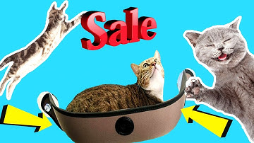 INCREDIBLE WINDOW HAMMOCK FOR YOUR CUTE CAT!!! | BEST PET SUPPLIES 2020