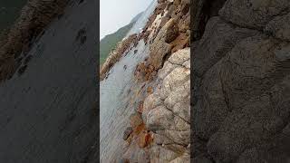 #remix #stecustecu #tkw #jalanyangjauhjanganlupapulang #pantai #hongkong