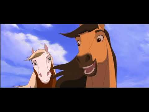 Spirit El Corcel
