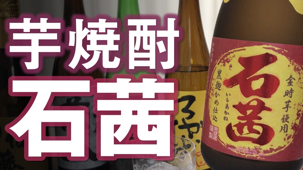 驚きの値段で】 黒木本店 百年の孤独 焼酎