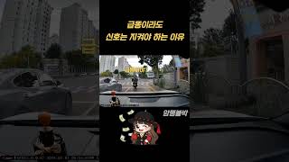 (암행블박) 급똥인가!? 신호위반한 차주의 최후 블박 영상 #블랙박스 #블랙박스레전드 #블랙박스제보