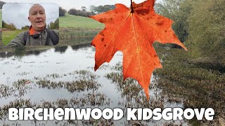 Looking for Autumn in Birchenwood Kidsgrove