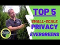 TOP 5 | Small-Scale Privacy Evergreens | 