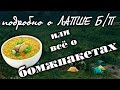 Всё о "БОМЖПАКЕТАХ" или подробно о лапше Б/П.