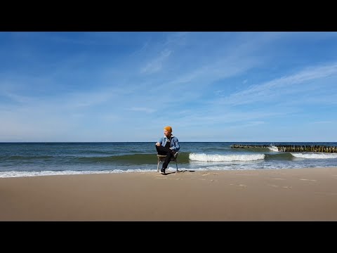 Зеленоградск. Город кошек. Калининградская обасть!