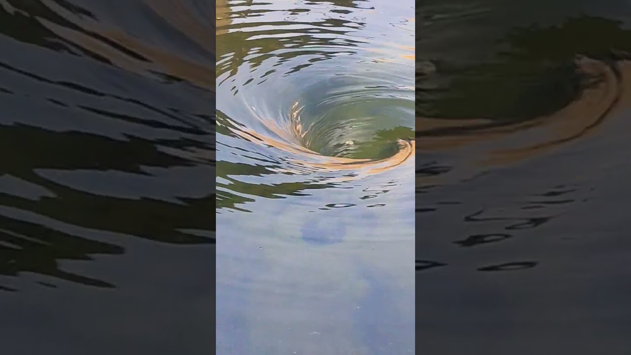 this is fish circular tank