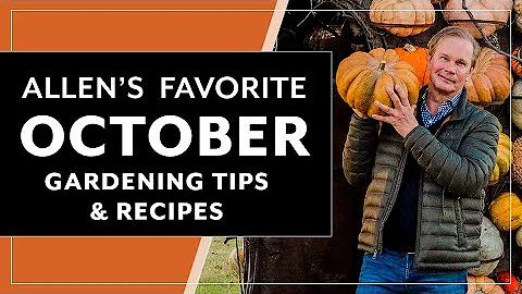 My favorite things about October and Fall! | P. Al...