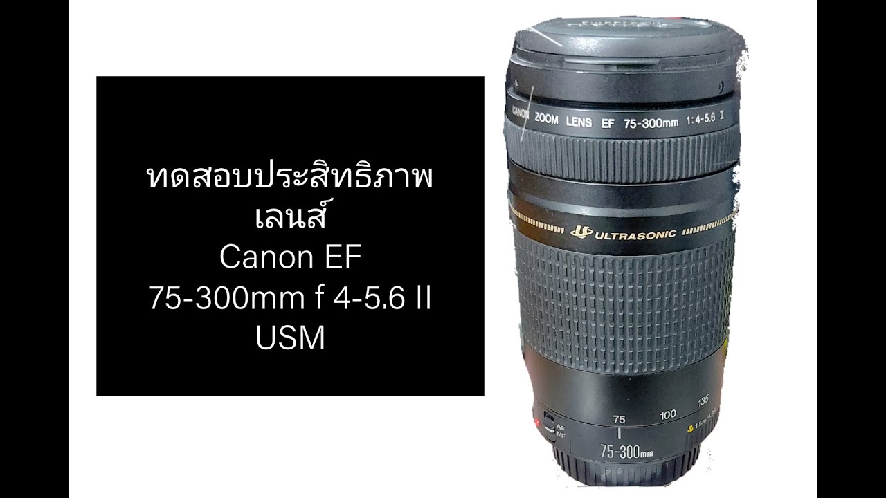 Canon EF 75-300mm/f4-5.6 III USM v. Canon EF 200mm/f2.8 L II USM