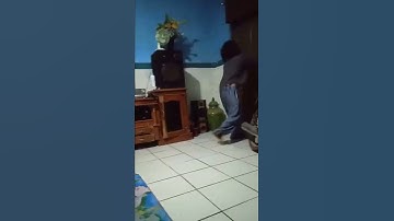 Anak Ini Mengamuk Hp Disita Hingga Lempari Barang ke Orang Tua
