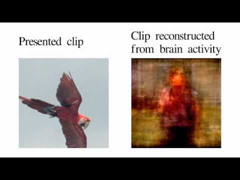 Movie reconstruction from human brain activity