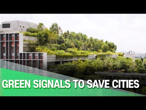 [Arirang Prime] Green Signals to Save Cities