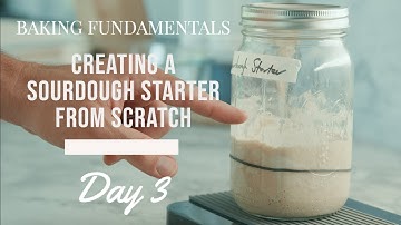 Creating a Sourdough Starter from Scratch Day 3