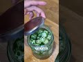 Okra Water For Blood Sugar Control For Type 2 Diabetes 