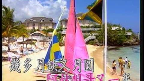 等哥團圓到奈年