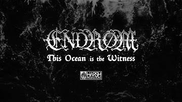ENDRØM - This Ocean is the Witness
