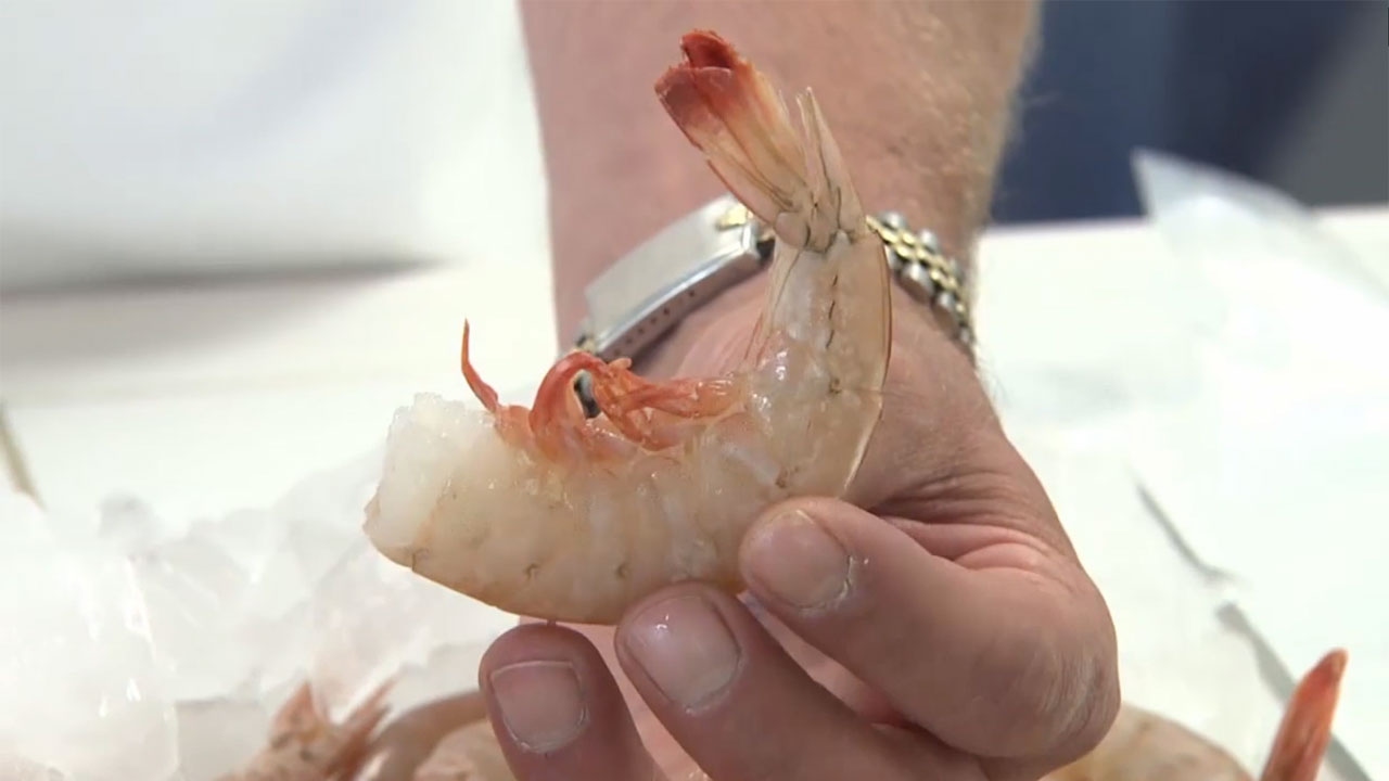 alabama abortion 中文 How to Prepare Shrimp - A Piece of Advice