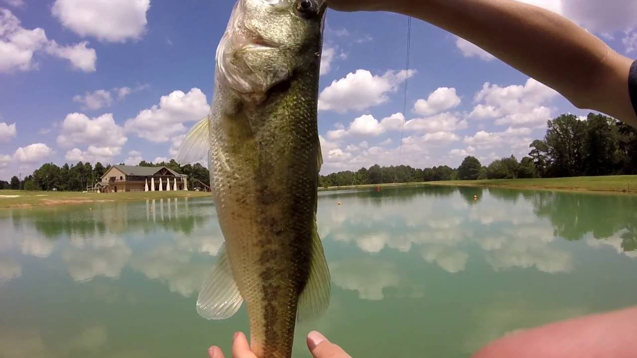 Fishing on a cable lake! YouTube