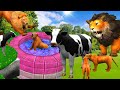 शेर की माँ गाय और शेरनी पर ठंड का कहर /Lion Mother Cow |  Hindi Animals Stories |Animals Kahani Tv .