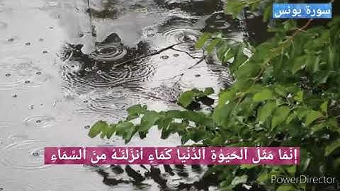 مَثَل الحياة الدنيا 🌴🏘🏘🌴  سورة يونس - الآيه ( 24 ) للقاريء / ياسر الدوسري