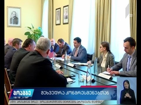 პარლამენტის თავმჯდომარე ამერიკელ კონგრესმენებს შეხვდა