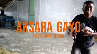 Episod 2 : Burni Telong untuk Aksara Gayo