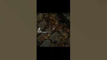نغمة طوق البنات 