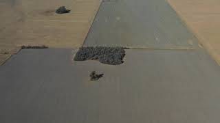 Córdoba Matorrales 120 has Agrícolas