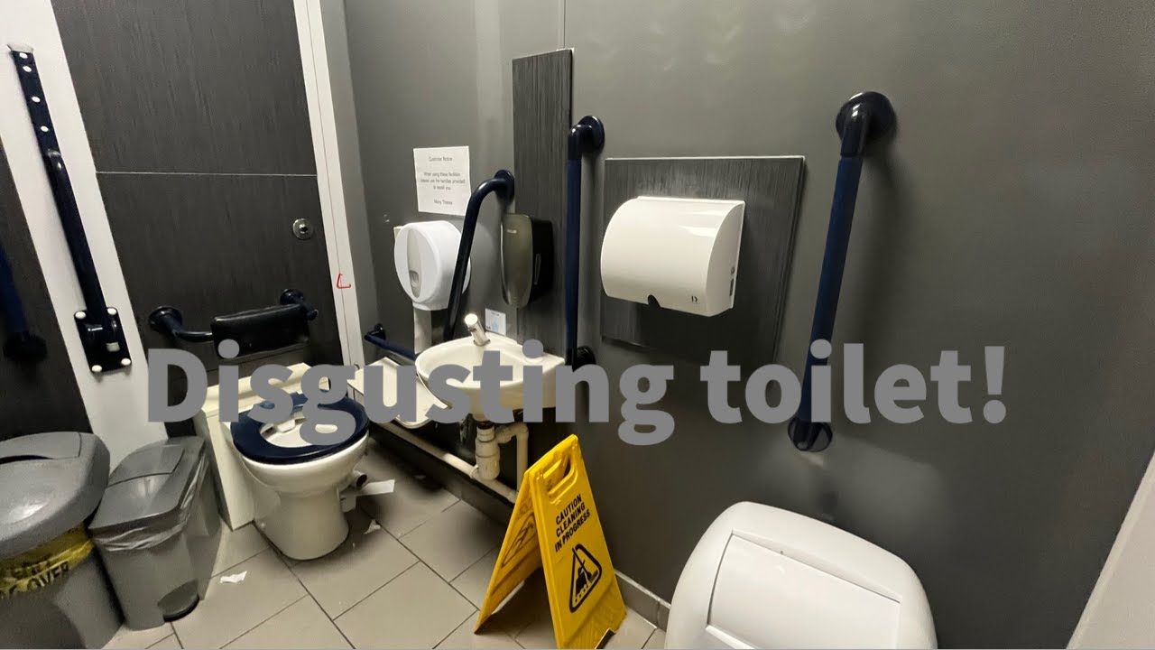 disgusting-toilet-dolphin-velocity-eco-hokwang-ecofast-at-tesco