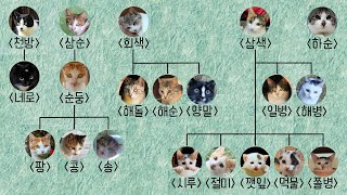 Hasun's family tree by Street Cat 23,464 views 1 year ago 5 minutes, 59 seconds