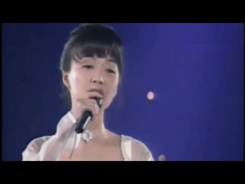 陳慧嫻1995歸來吧演唱會 01 人生何處不相逢 飄雪 今天的愛人是誰