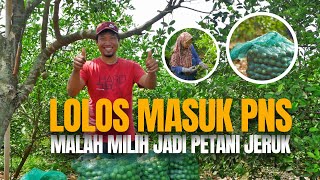 Usaha Agrobisnis yang Sekali Tanam Bisa Panen Berkali Kali?  Budidaya Jeruk Nipis Jawabannya!