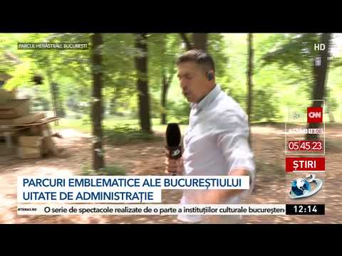 Video: Parcurile Urbane Liniștite Ar Putea Ajuta Locuitorii Orașelor Să Găsească Pacea