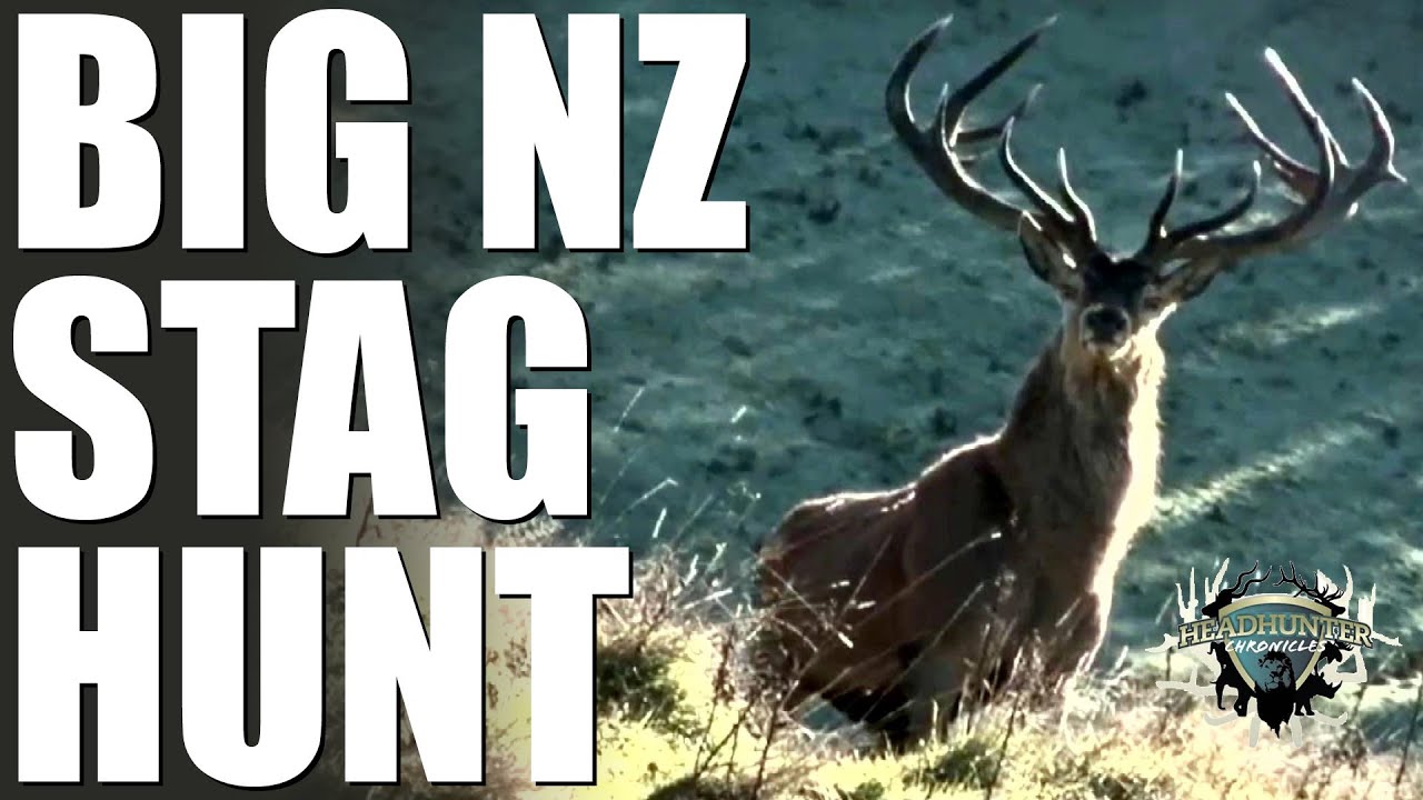 Headhunter Chronicles - Bow hunting big reds and sambar in New Zealand ...