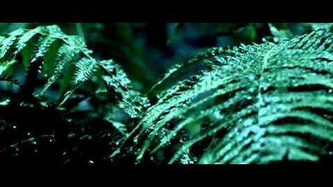 Loreen - Euphoria [OFFICIAL]