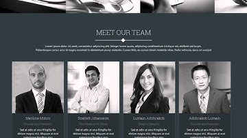 RadiSon Responsive One Page Joomla Template - Video ServerThemes.Net