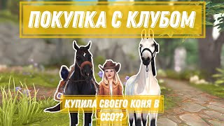 АМЕРИКАНСКАЯ ВЕРХОВАЯ | SSO | КЛУБНАЯ ПОКУПКА | AMERICAN SADDLEBRED