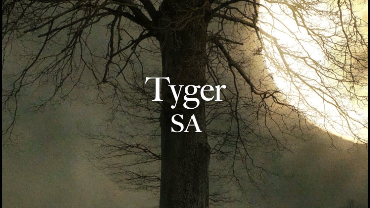 "Tyger" SA by Elaine Hagenberg