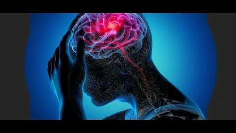 Neuropedia.net - Redefining the Neuro World