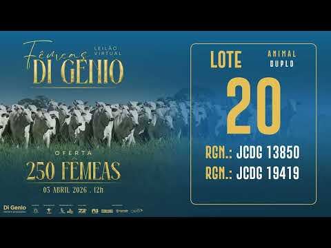 LOTE 20 JCDG 13850 19419