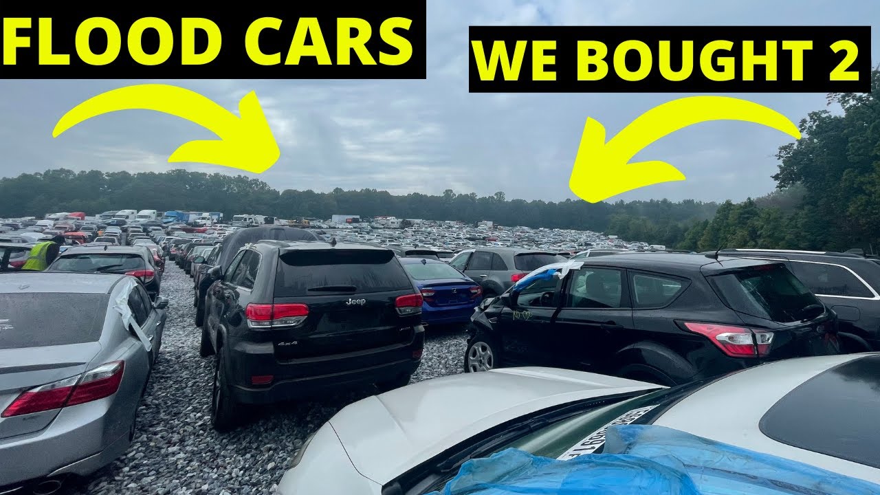 We Bought 2 Flooded Cars! WAS IT WORTH IT? Salvage Auto Auction Part 1