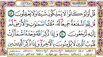 القرآن الكريم مقسم صفحات | الشيخ حاتم فريد | سورة الزمر | صفحة 463 مكتوبة | مصحف التجويد الملون