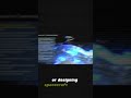 Why Space Travel Needs Quantum Computing: The Future of Exploration