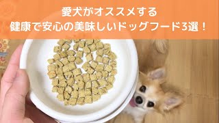 愛犬コムギがオススメする安心安全の美味しいドッグフード3選 Youtube 愛犬コムギがオススメする安心安全の美味しいドッグフード3選 Youtube