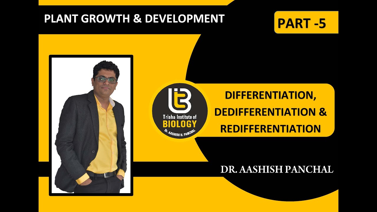 Biology Neet Aiims Plant Growth Development Differentiation